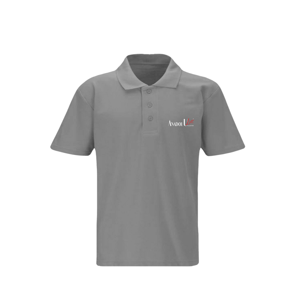 Lacoste Gri Yaka T-Shirt