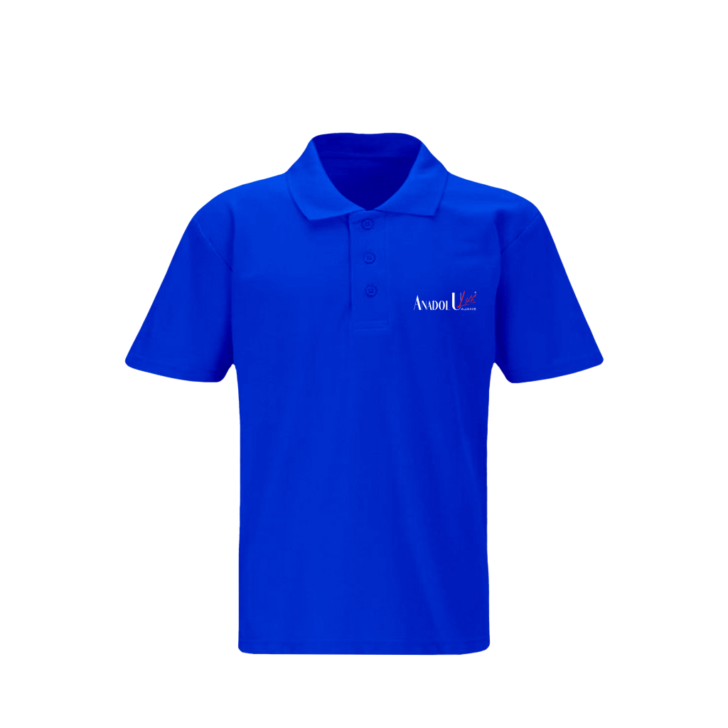 Lacoste Saks Yaka T-Shirt