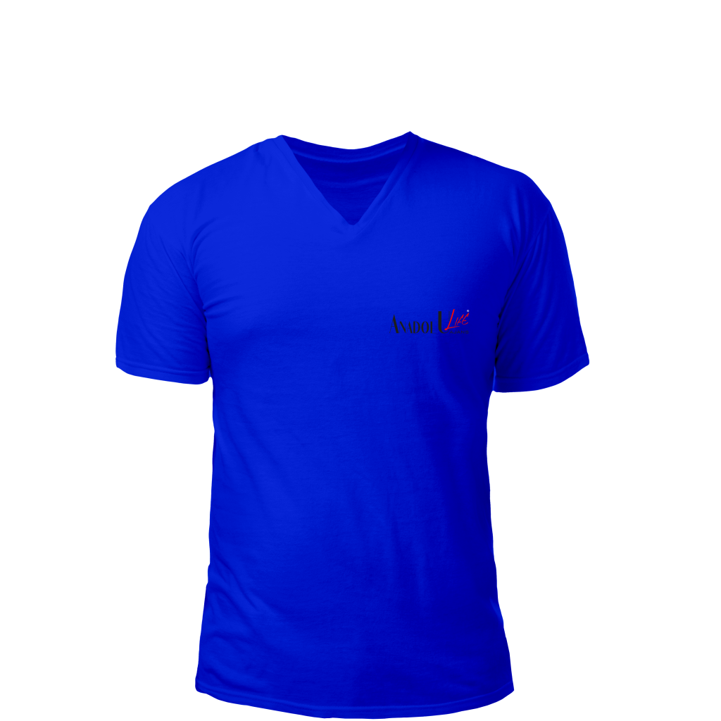 V Yaka T-Shirt Saks